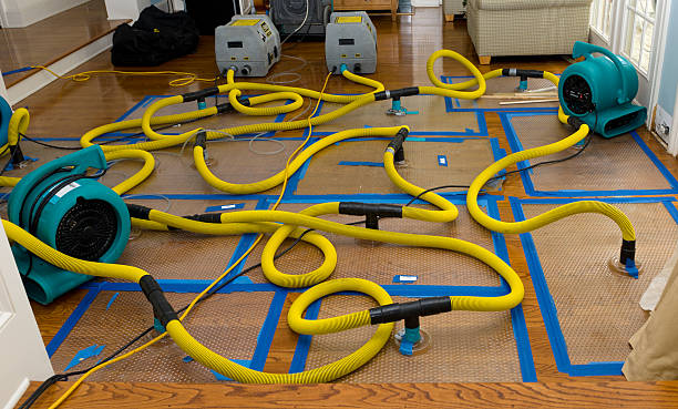 Professional Structural Drying And Dehumidification technician working in Burbank, OH